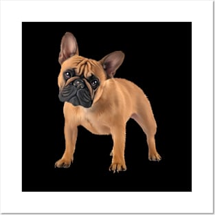 French Bulldog, Frenchie Lover, French Bulldogs Posters and Art